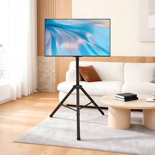 Floor standing portable - floor, tv